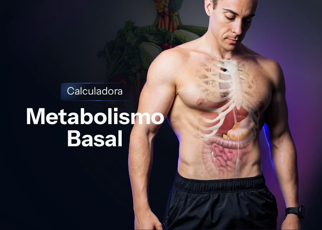 Como Calcular a Taxa Metabólica Basal (TMB) e Descobrir Seu Gasto Calórico Diário
