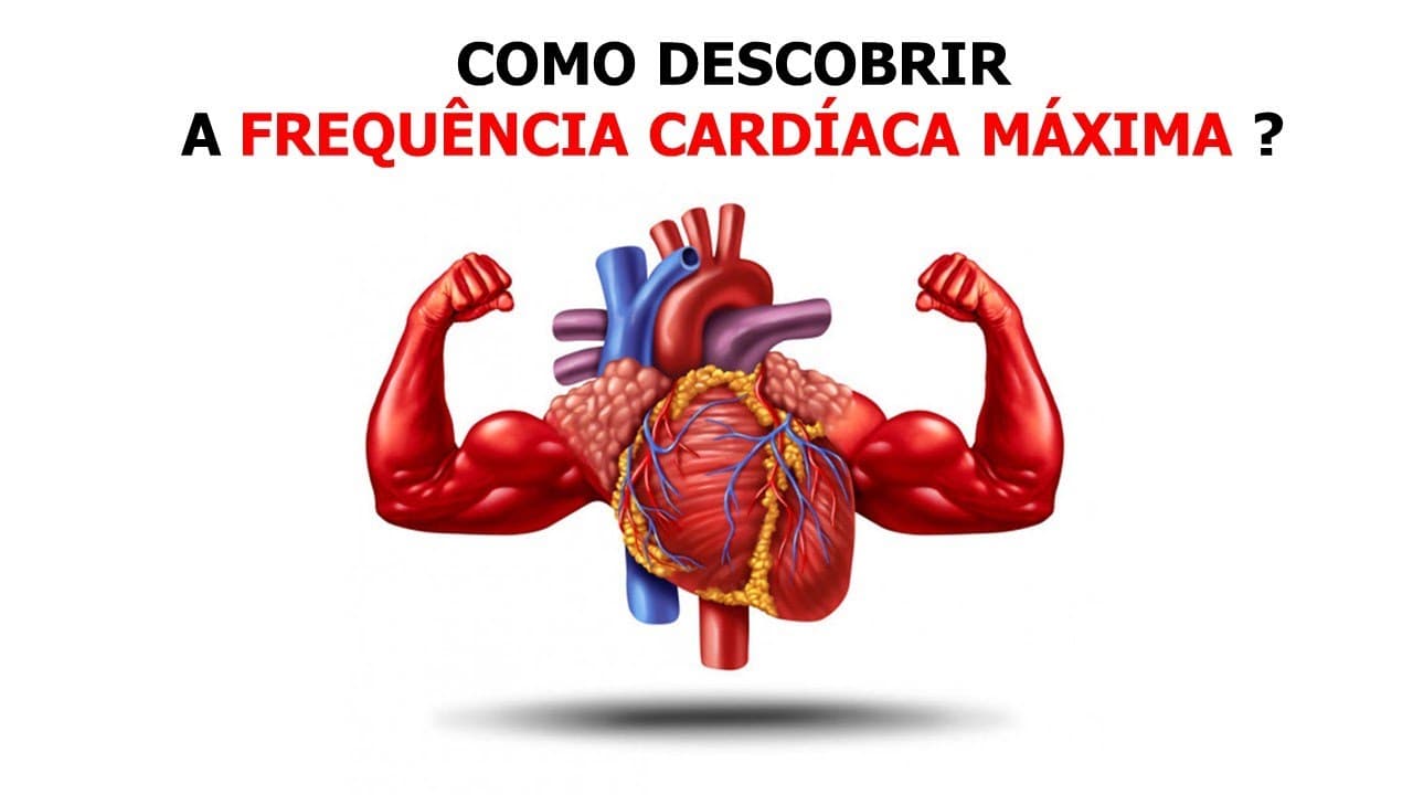 Como Calcular a Frequência Cardíaca Máxima e Usar as Zonas de Treinamento